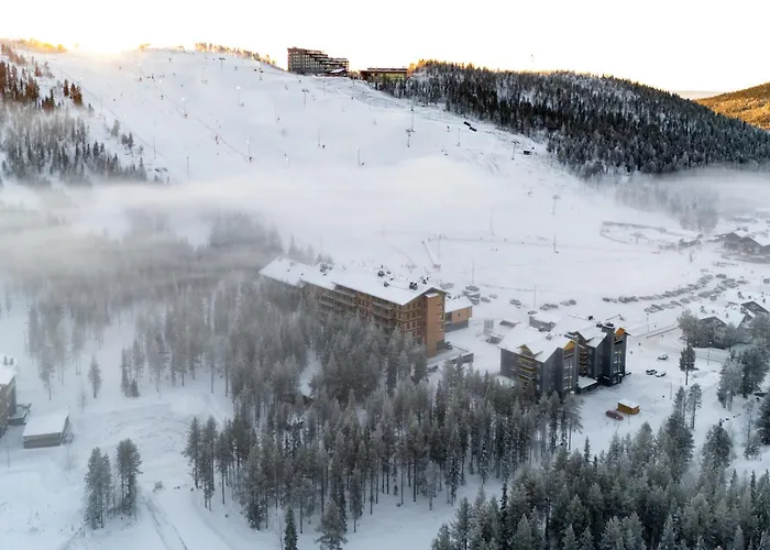 Le Lingonberry D23 Ski-in Ski-out By Aavalevi